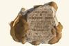 A stone engraved with different ways of expressing the same chemical reaction between water and a metal