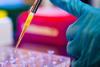 pipette