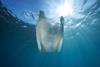 A plastic bag floating in water with the sun shining through
