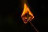 A close-up photograph of a burning marshmallow on a metal skewer, pictured against a dark background