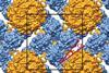 Auxetic-2D-protein-latticenature17633Tezcan-4300tb