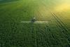 Crop field cover