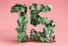 A bush in the shape of a number 15
