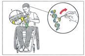 A student in a wheelchair reading Frankenstein while thinking about gene editing
