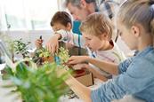 Photo of three children looking at different plants in small plastic pots