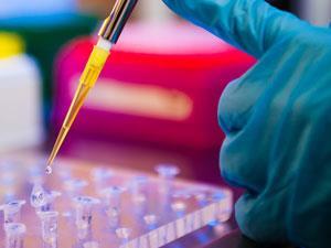 pipette