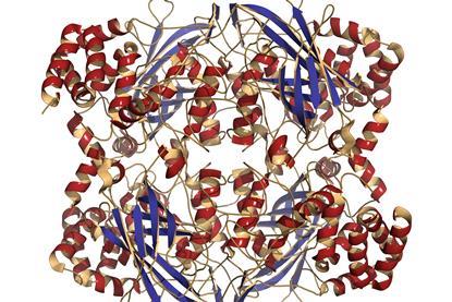 Catalase cover image