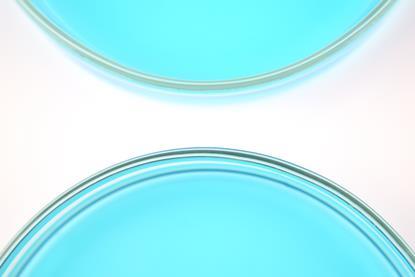 A close-up photograph of two glass Petri dishes containing blue copper(II) sulfate solution