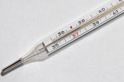 Thermometer image