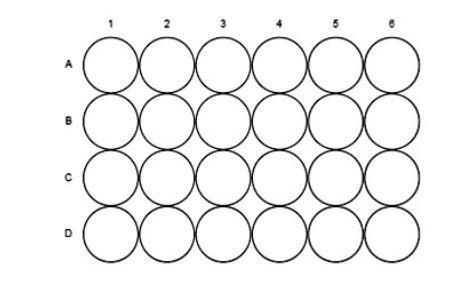 A diagram illustrating 24 wells on a microscale well-plate, with six numbered columns and four rows labelled with letters