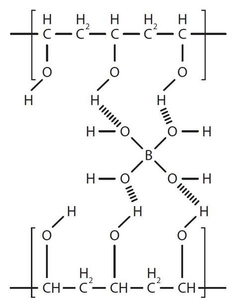 Cross-linking between borate ions and the OH groups in the polymer chains of PVA 